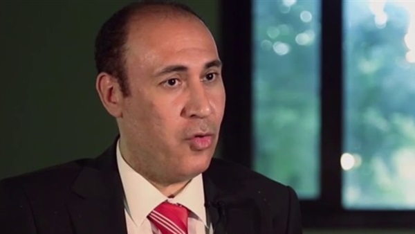 Judge Emad al-Wardany