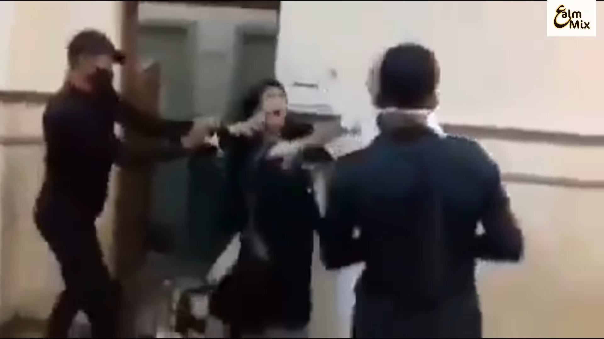 The woman forcefully resisting while the officer and two conscripts were trying to handcuff her - screenshot