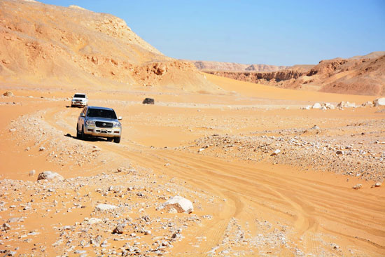 61887-61887-اول-رحلة-يقوم-بها-المحافظ-فى-اتجاه-المسار-الجديد 61887-61887-اول-رحلة-يقوم-بها-المحافظ-فى-اتجاه-المسار-الجديد