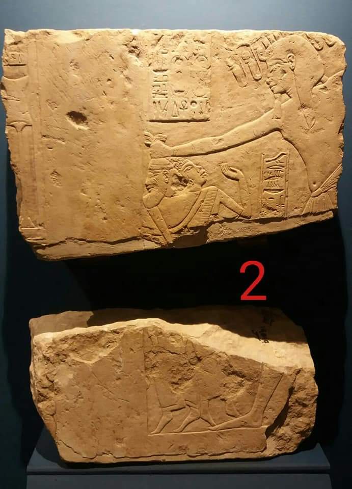 Limestone painting in Matrouh Museum