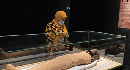 Royal Mummies Hall - ET