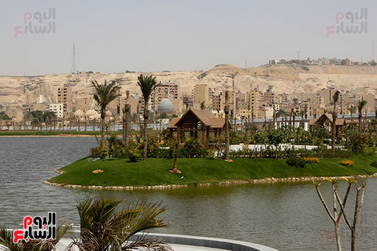 64340-جزيرة-النباتات