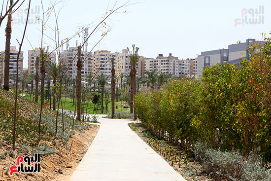 86833-مناظر-جمالية-داخل-المشروع