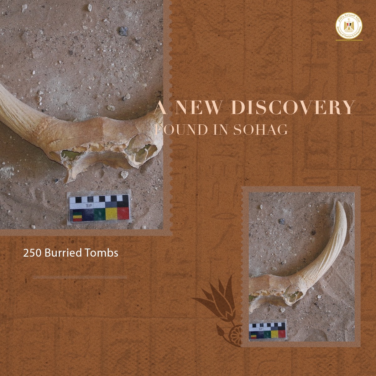 Photo via Min. of Tourism & Antiquities 