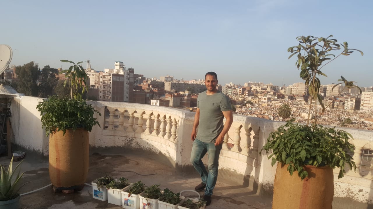107906-زراعة-الأسطح-بالبحيرة--(2)