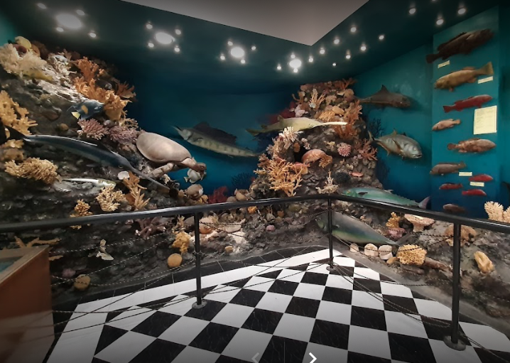 Hurghada Marine Museum & Aquarium - Murphy Mashaly