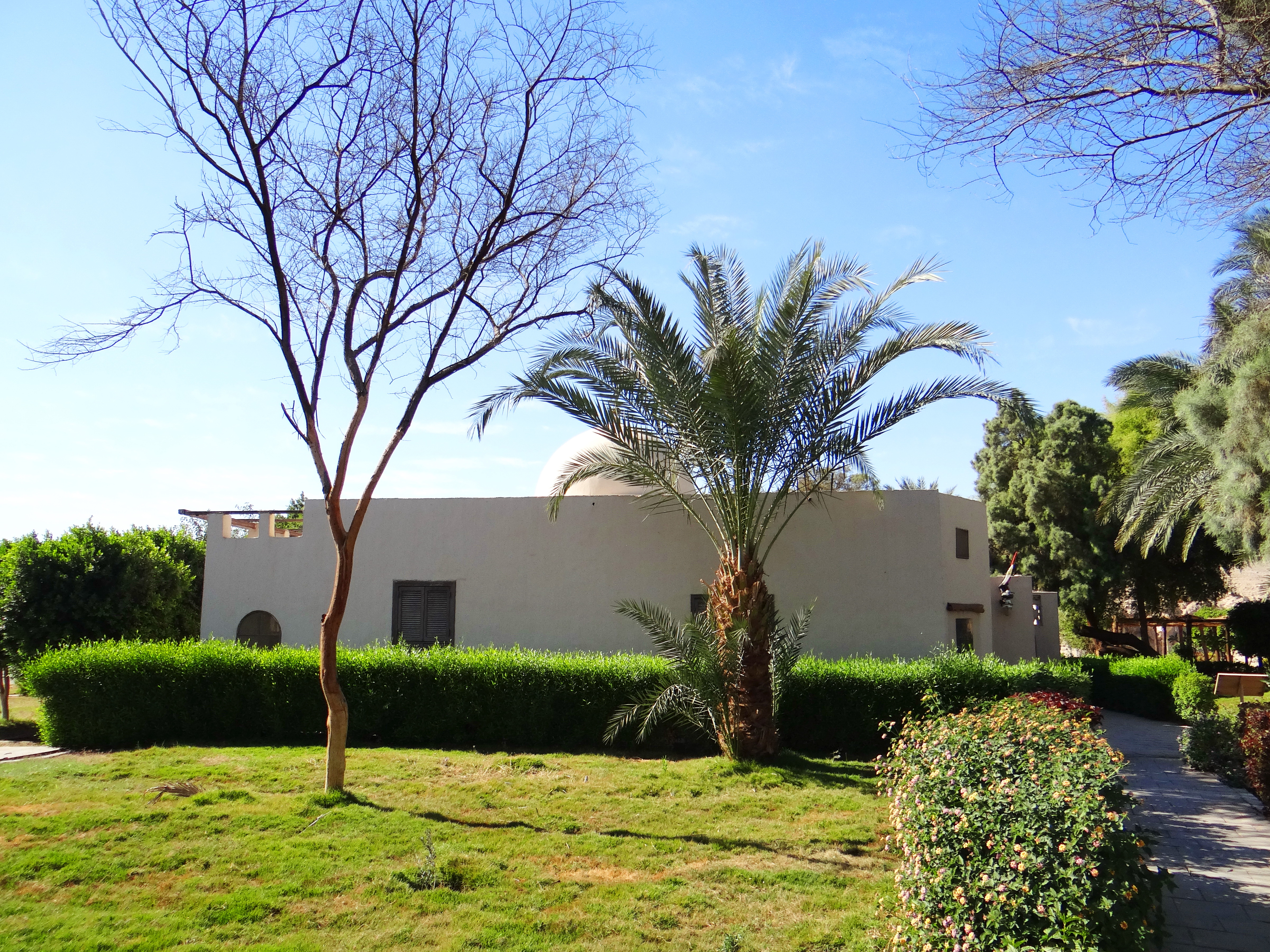 carter house (1)