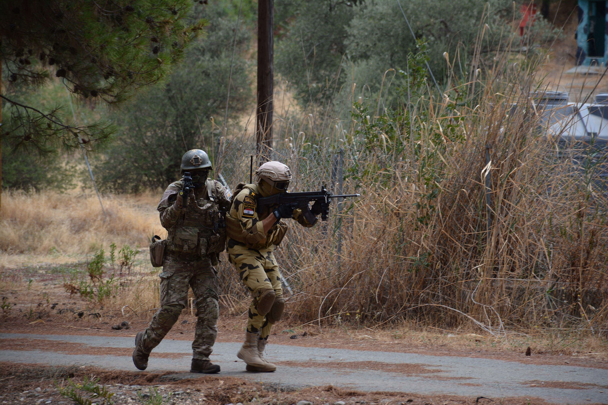 Cyprus 6