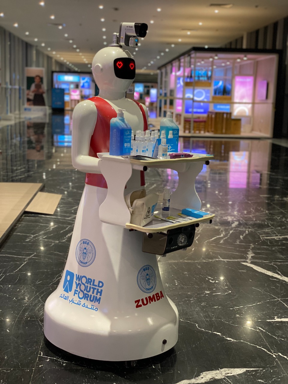Servant Robots