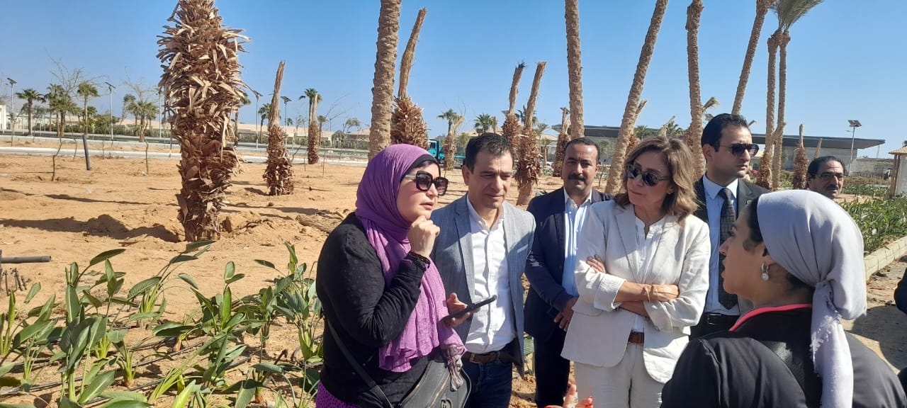 148034-جولة.jfif