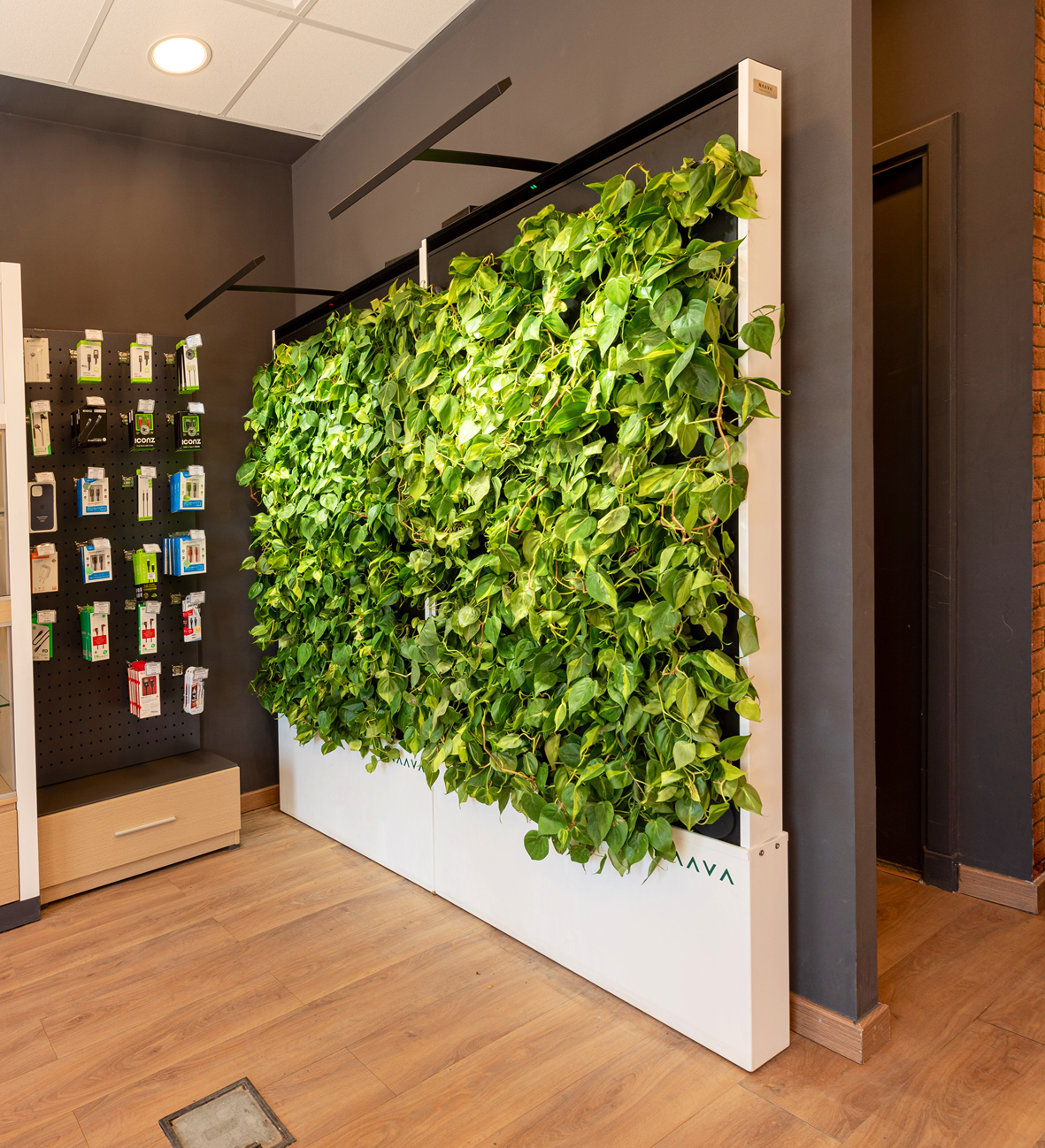 smart store