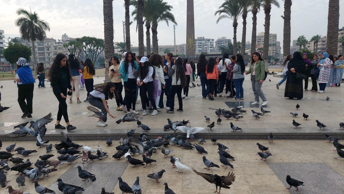 163048-توافد-الرحلات-على-ميدان-المسلة-للإستمتاع-بمشاهدة-حمام-السلام
