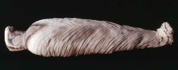 Mummification of animals in ancient Egypt - social media