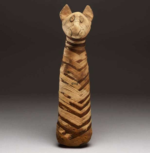 Mummification of animals in ancient Egypt - social media