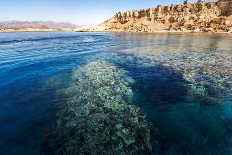 Ras Mohammad Reserve