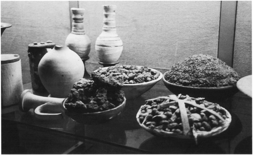 Plates-of-food-from-the-tomb-of-Kha-and-Merit-8-Deir-el-Medina-now-in-the-Turin