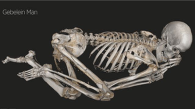 Gebelein Man skeletal remains - BBC