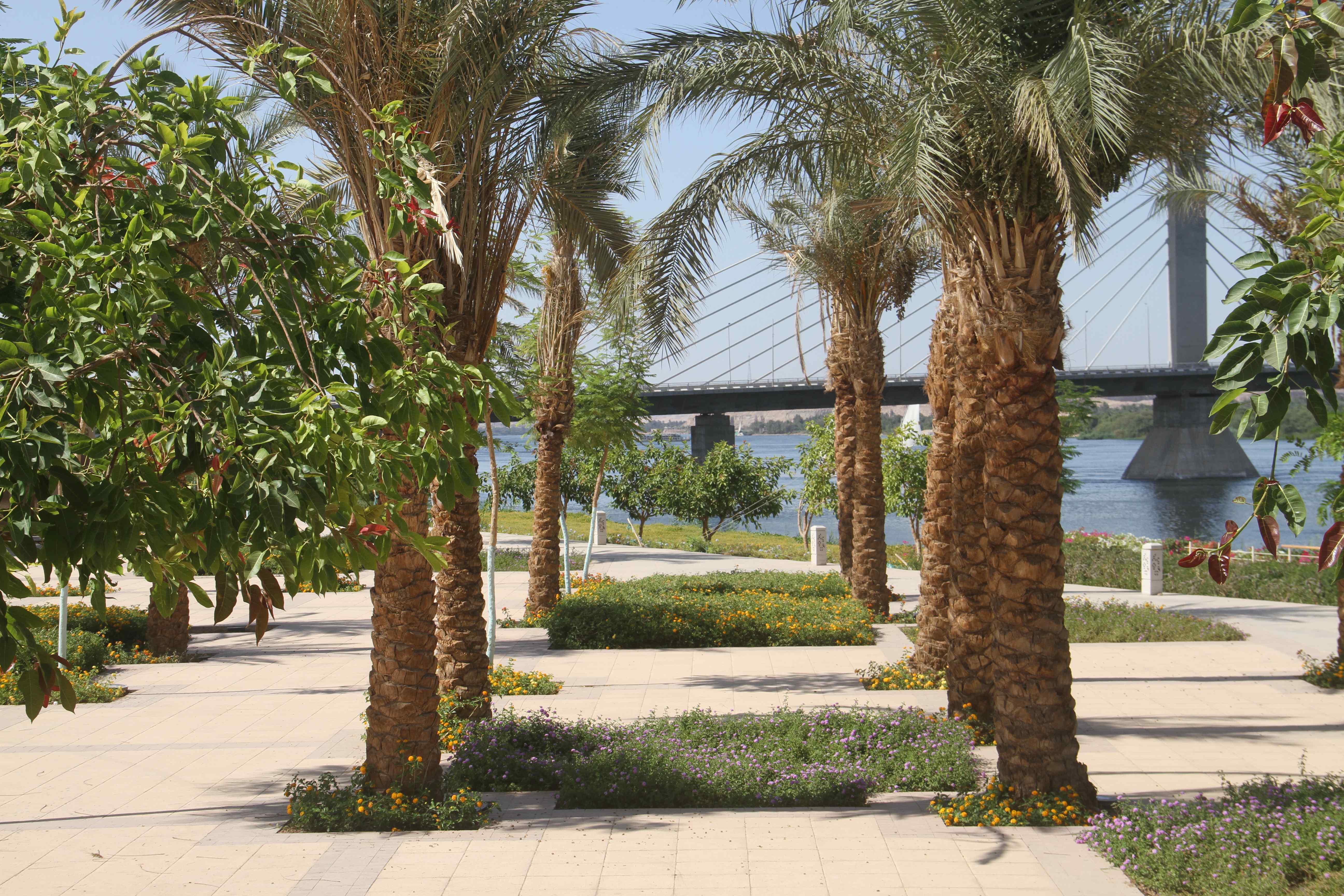 1459411-مدينة-أسوان-الساحرة-(4)