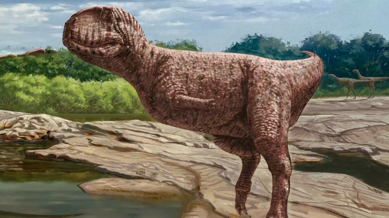 A model of the discovered dinosaur