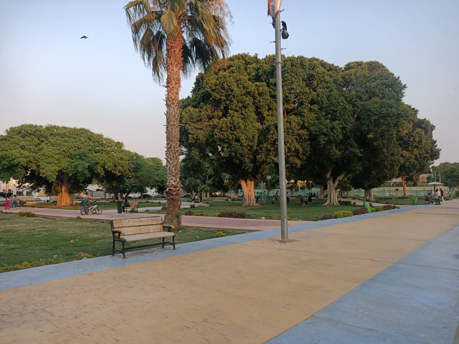 240573-الحديقة-الفرنسية