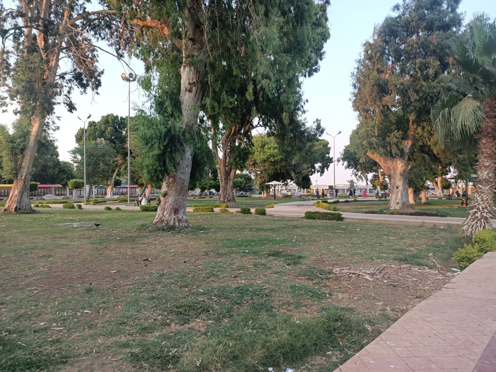 400132-الحديقة-عمرها-150-سنة