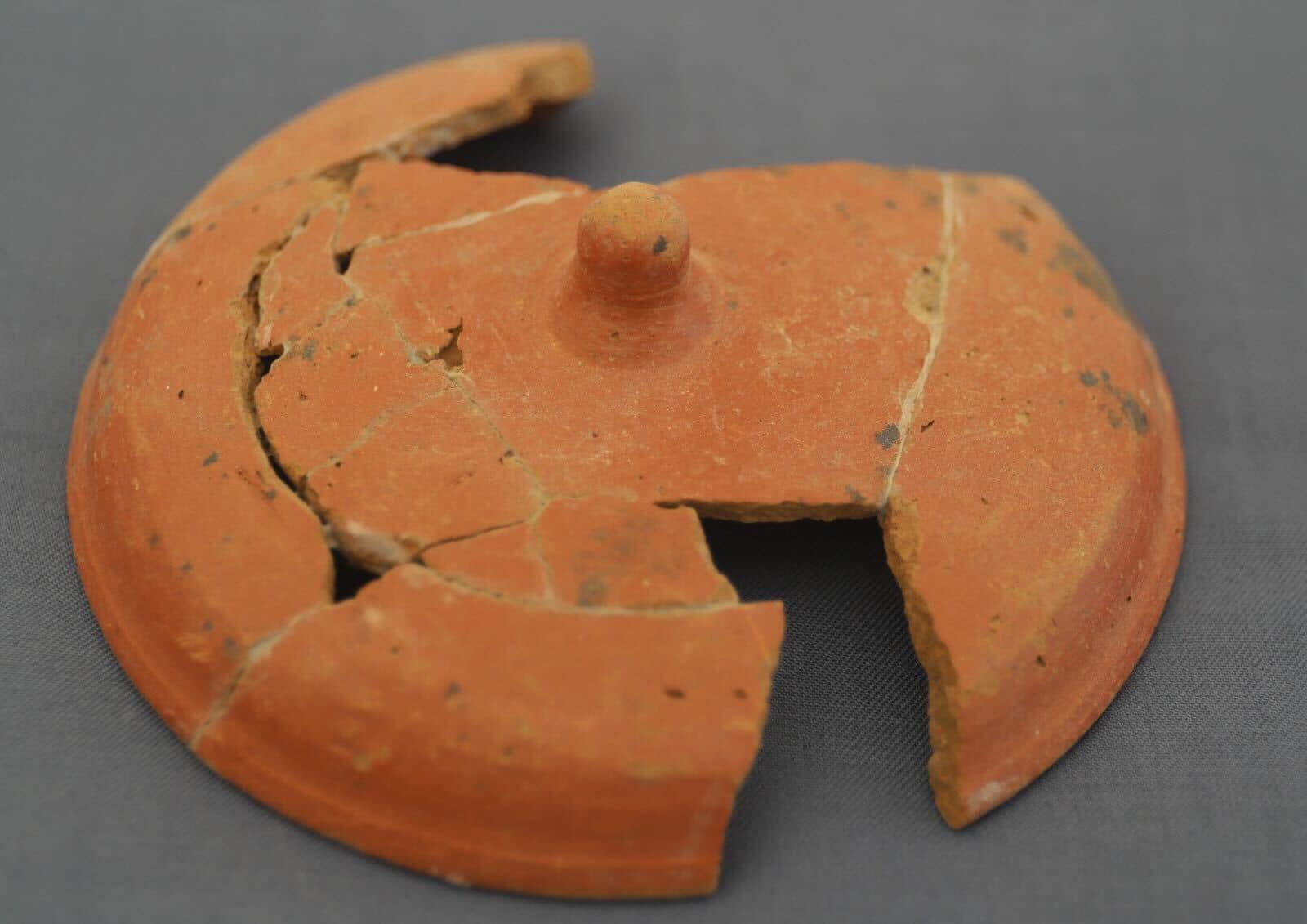 Part of the discovery - Min. of Tourism & Antiquities 