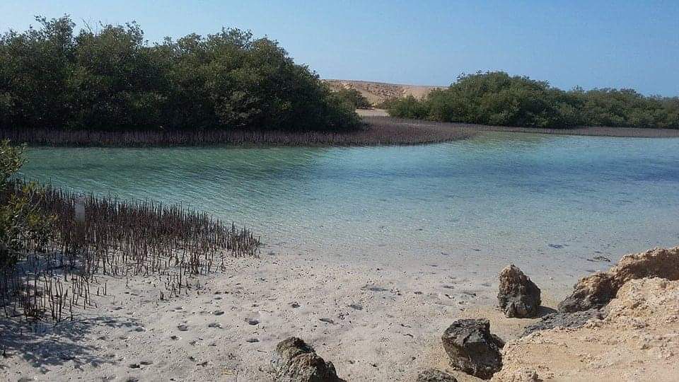 106626-جمال-الطبيعة-على-شواطئ-الجنوب