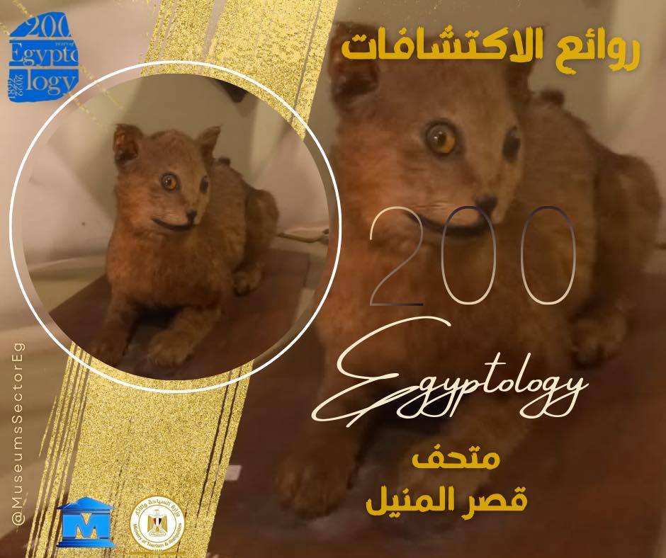 Photo via Min. of Tourism & Antiquities