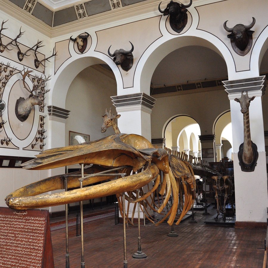 Museum of Agriculture