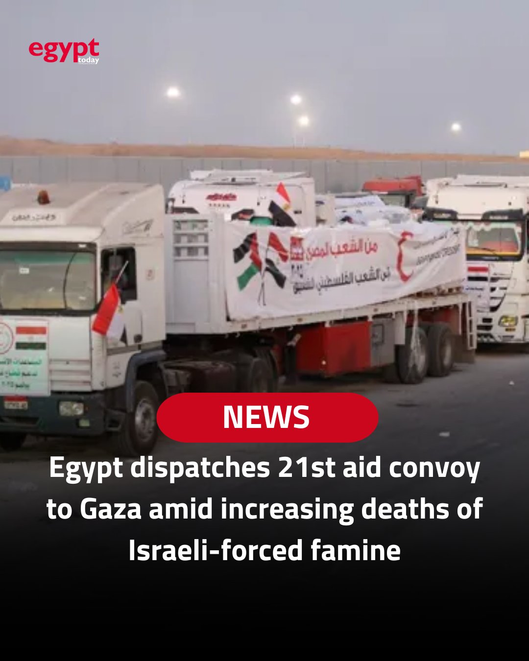IPC confirms famine in Gaza