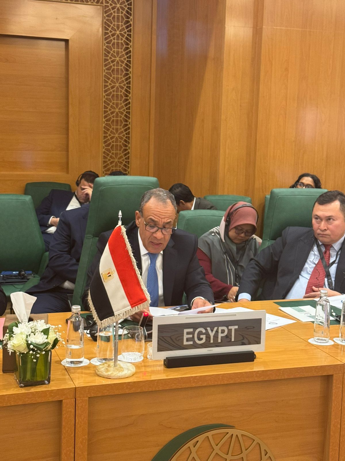 Egypt FM delivers a speech at OIC extraordinary meeting