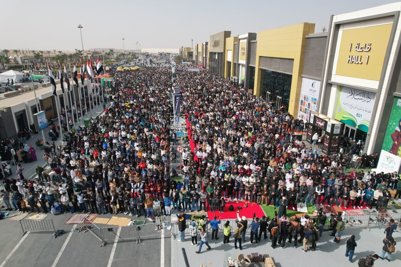 Cairo Intl Book Fair 2026 3