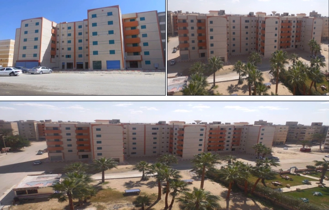 Sinai development 2