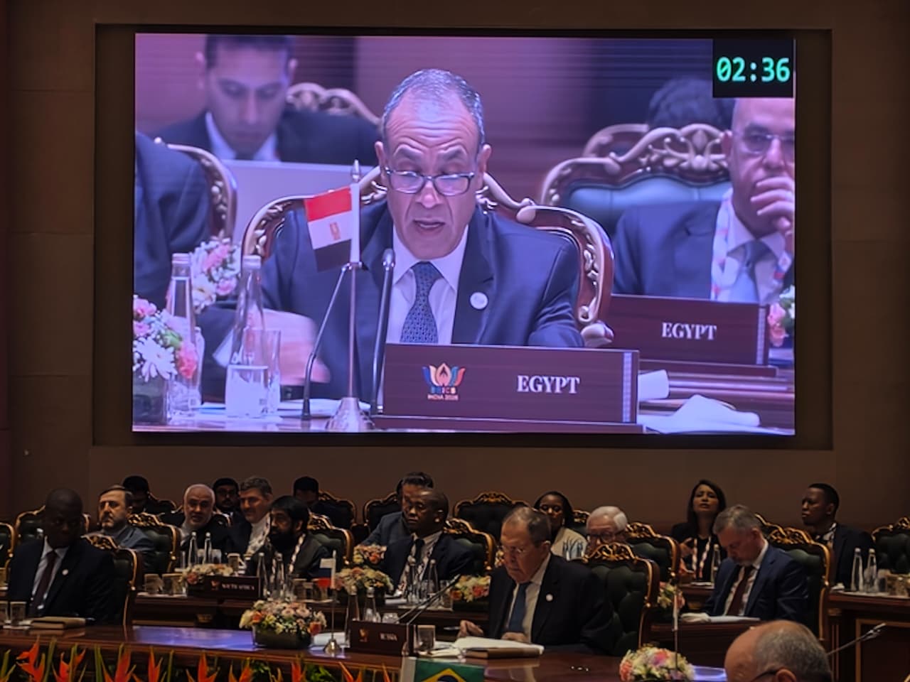 Egypt foreign minister delivers remarks at BRICS meeting