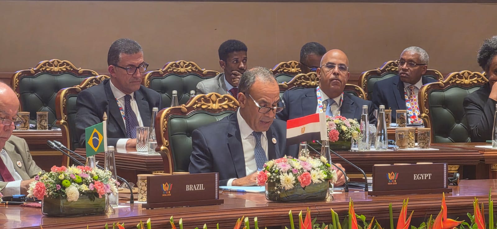 FM Badr Abdelatty delivers a speech during the BRICS expanded session