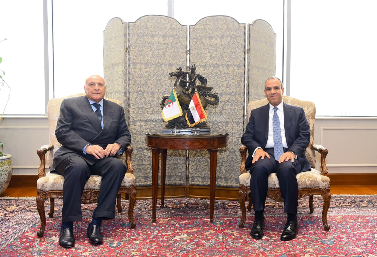 Egypt and Algerian foreign ministers