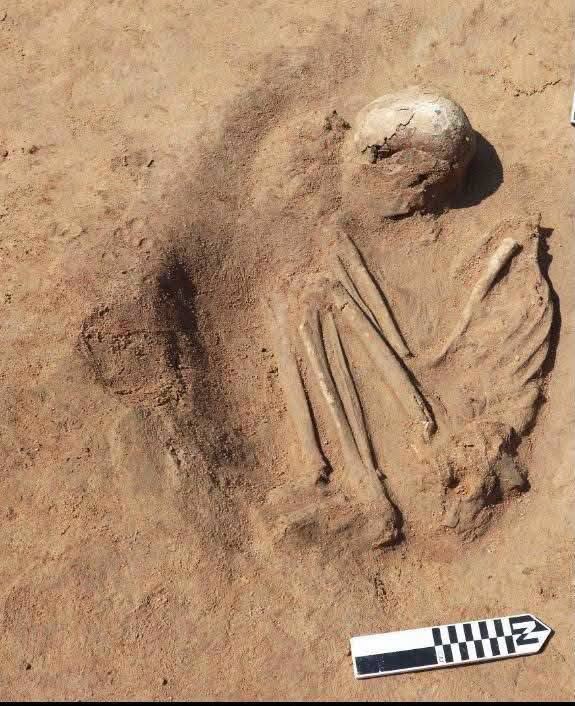 A photo by the Ministry of Tourism and Antiquities on latest Kom El Khelgan discoveries 3