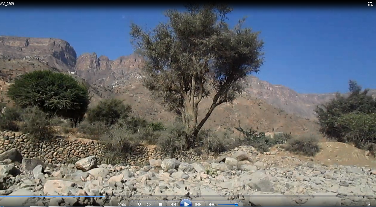 طريق تعز