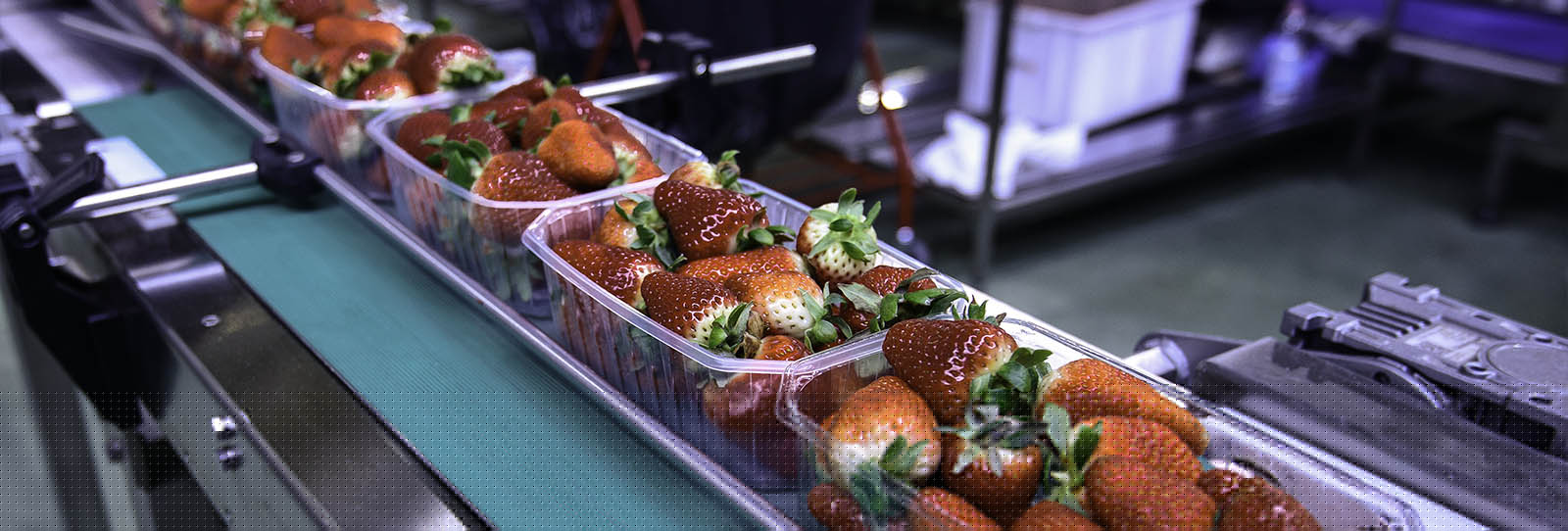 food processing