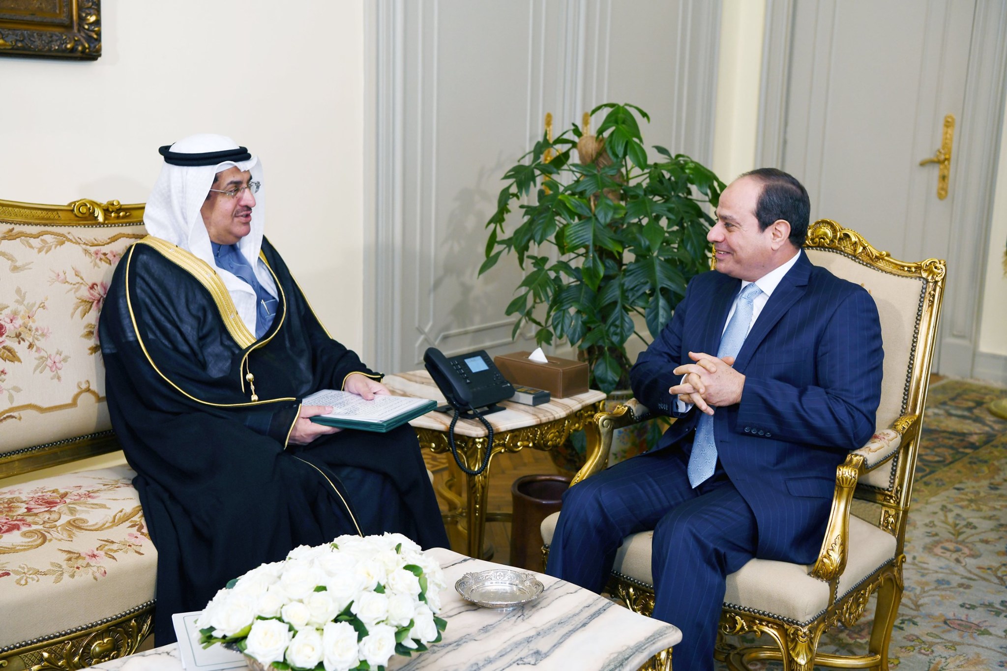 sisi231