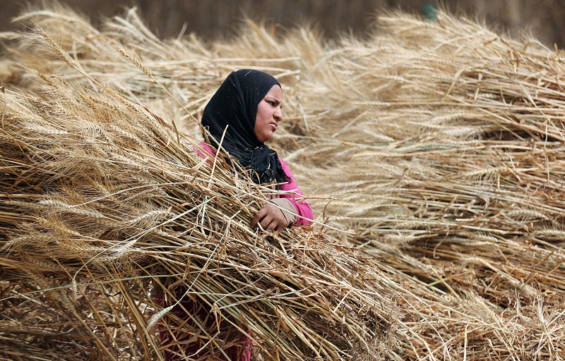 2019-05-02T000550Z_790171621_RC14F73DC590_RTRMADP_3_GLOBAL-FARMING