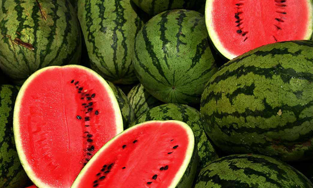WaterMelaosf1