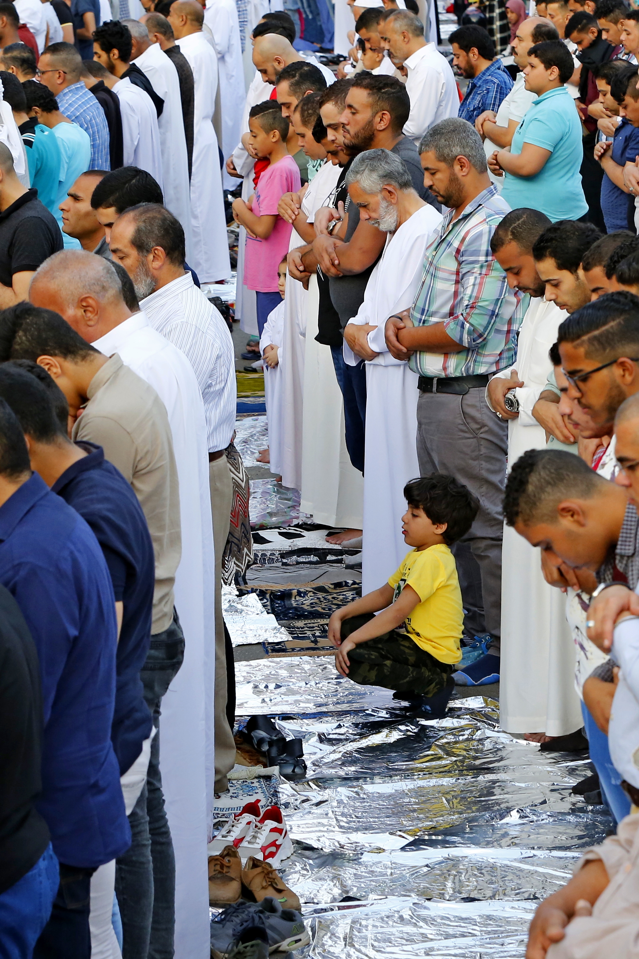 maher eskandar (52)