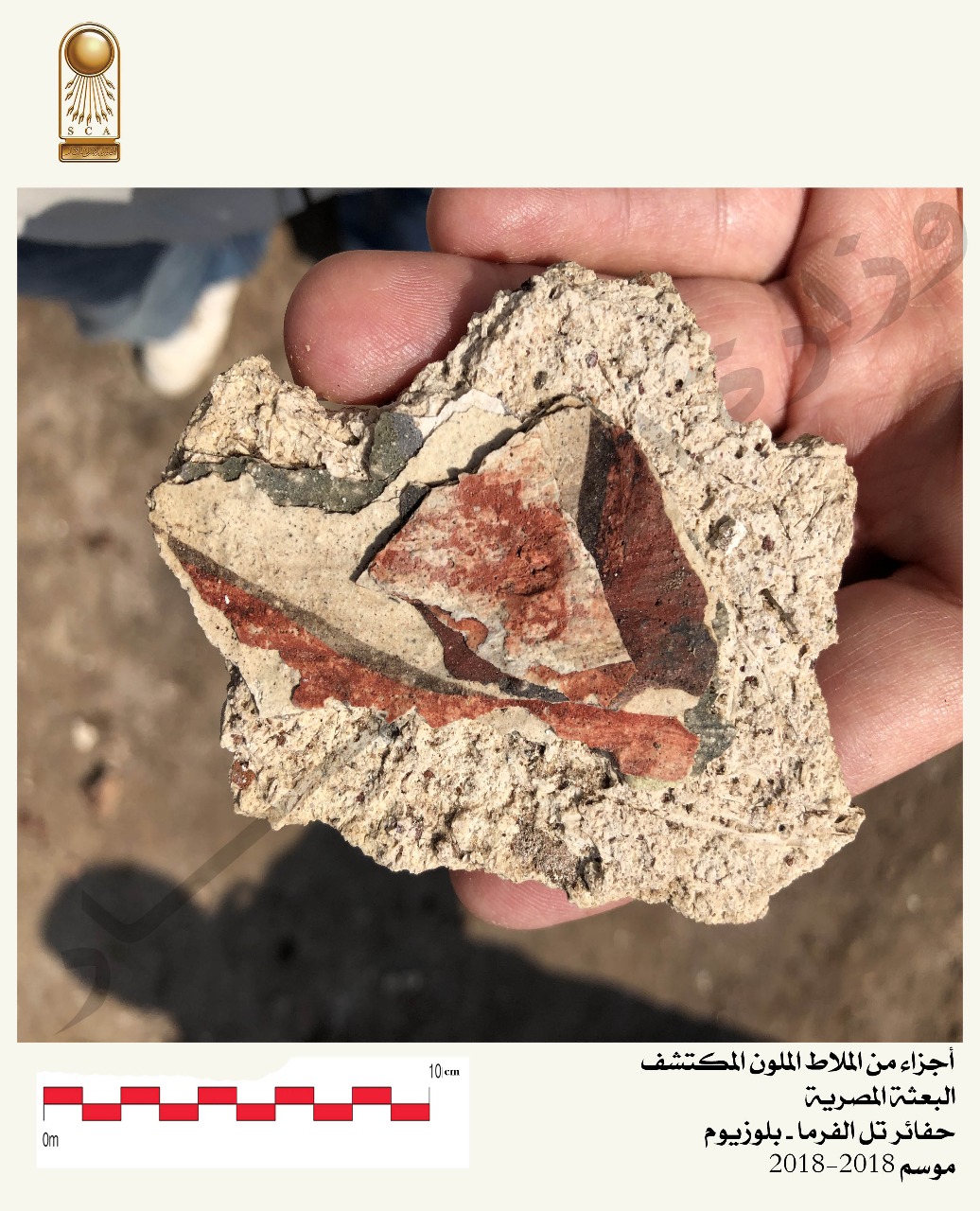 351371-الاكتشاف-الجديد-(1)