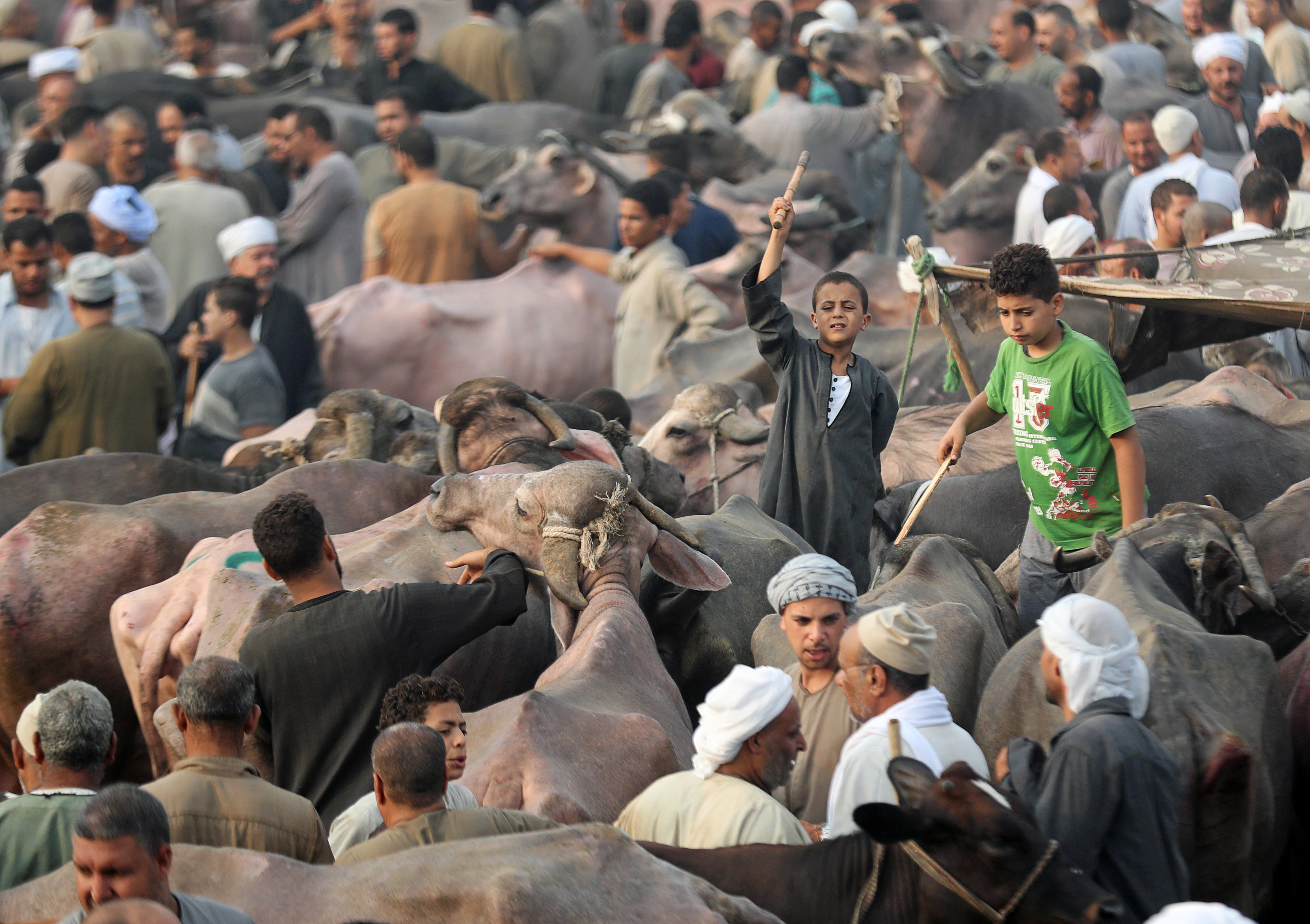 2019-08-08T083538Z_527958301_RC166264DC10_RTRMADP_3_RELIGION-EID-EGYPT