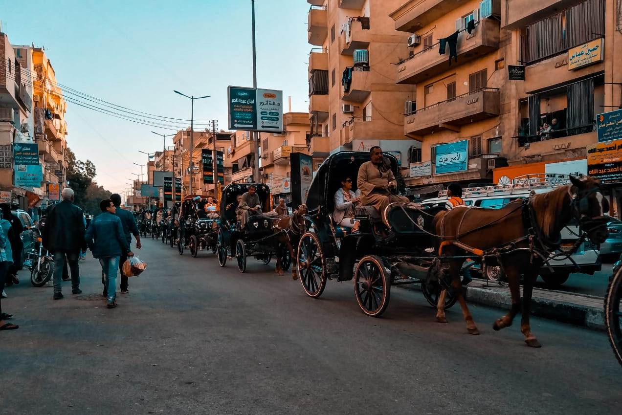 156543-عربات-الحنطور-متعة-السياح-بالأقصر